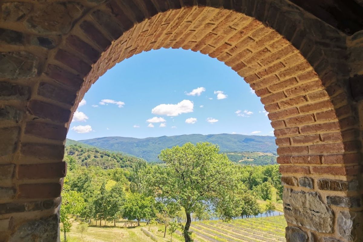 fattoria cuore verde