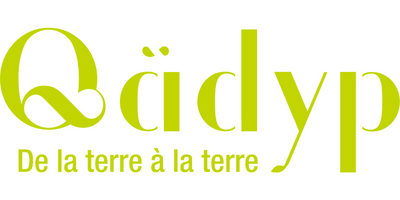obrazok logo qadyp