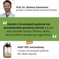 dieNikolai AOX® OPC antioxidanty z hrozna 112 tabliet