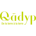 Qädyp