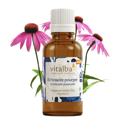 Vitalba echinacea tinktúra 50ml